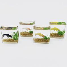 PRICES MAY VARY. 【Dimension】1:12 miniature dollhouse accessories decor, Random Color Square Size: 2.7cm x 2.6cm x 1.3cm/1.06 x 1.02 x 0.51inch, Random Color Round Size: 2.5cm x 2.2cm/0.98 x 0.87inch. 【Durable Material】This fish tank model is made of high-quality and environmentally friendly resin materials. 【Good Decoration】Featuring vivid color, superb craftsmanship and compact size, you can find that the miniature dollhouse fish tank is decorative, vivid and beautiful. 【Perfect Gift Choice】Thi Square Fish Tank, Fake Fish Tank, Transparent Fish, Glass Fish Tanks, Fish Tank Accessories, Fish Fish, Desk Decoration, Gold Fish, Glass Fish