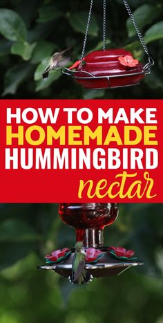 how to make homemade hummingbird nectar feeder