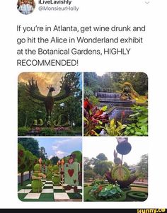 an instagramted photo with the caption'if you're in atlanta, get wine drink and go hit the alice in wonderland exhibit at the botanical gardens, highly recommended