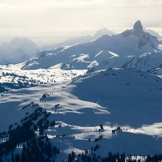 the mountains are covered in snow and have many trees on them, as seen from above