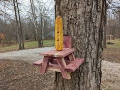 a corn cob on top of a picnic table next to a tree