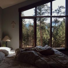 an unmade bed in front of a large window overlooking the woods and trees outside