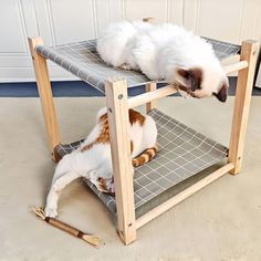 a cat laying on top of a wooden shelf