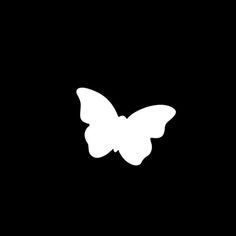 a white butterfly on a black background