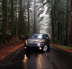 a car driving down a wet road in the woods