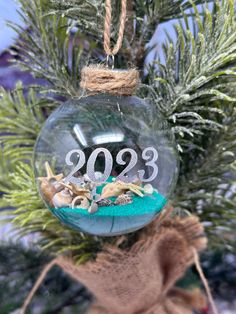 a glass ornament hanging from a tree with sand and sea shells in it