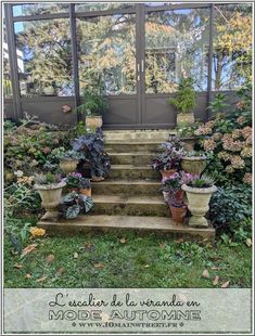 some plants that are sitting on the steps