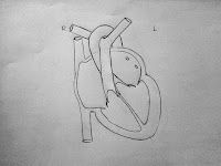 a drawing of a person doing a handstand on a toilet seat with one leg in the air