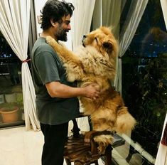 a man standing next to a dog on top of a chair in front of a window