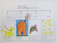 a child's drawing of a dog and house with words that read boo, live, eat