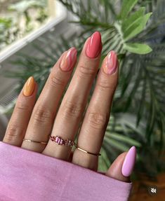 Sunset Gradient, Solid Color Nails, Cute Summer Nails, Purple Diamond, Flower Soft, Gold Powder, Pink And White Flowers, Spring Nail, Luxury Flowers