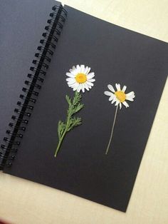 two daisies sitting on top of a black notebook