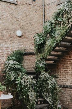 some plants are growing up the side of a brick wall next to a set of stairs