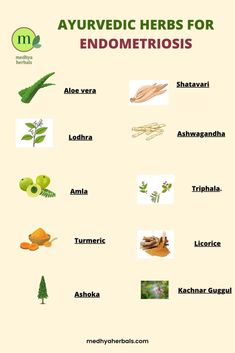 Ayurvedic herbs for Endometriosis Ayurvedic Therapy, Fertility Diet, Ayurvedic Remedies, Fertility Boost, Menstrual Health, Women Health Care, Women Health, Ayurvedic Herbs, Pelvic Pain