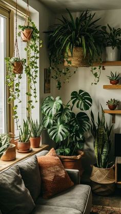 Living Room With Plants Aesthetic, Planted Living Room, Earthy Home Aesthetic Living Room, Living Rooms With Plants, Plant Aesthetic Living Room, Plant Living Room Aesthetic, Plants In Living Room Ideas, Boho Apartment Aesthetic, Earthy Boho Aesthetic