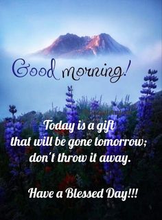 a greeting card with the words good morning on it and flowers in front of a mountain