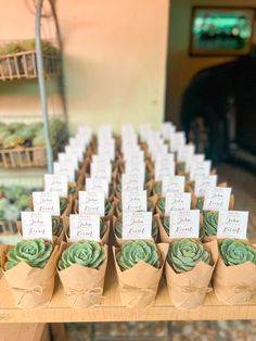 there are many small cupcakes with green frosting on them and place cards