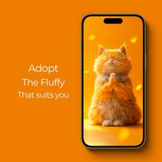 Orange Cat Background, Wallpaper Iphone Funny, Kawai Wallpapers, 15 Background, Cat Wallpapers, Cat Background, Cute Cat Wallpaper, Smartphone Wallpaper, Cartoon Background