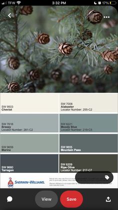 an iphone screen showing the color palettes for pine cones and fir needles, which are on