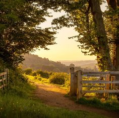 a wooden gate on the side of a dirt road next to a lush green field