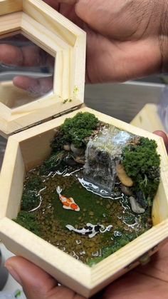 two hands holding a small wooden box with a fish in it and moss growing inside