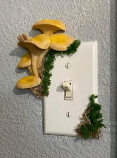 a mushroom light switch cover with moss growing out of it's side and on the wall