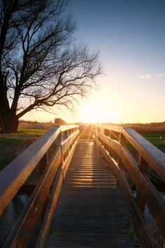 the sun is setting over a wooden bridge that leads to a grassy field with trees