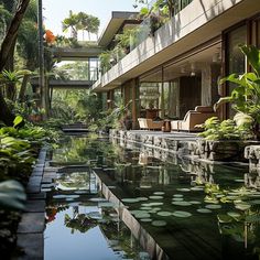 the house is surrounded by greenery and water features an outdoor swimming pool that's lined with lily pads