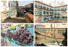 four different pictures with flowers growing on the side of buildings and boats in the water