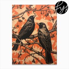 two black birds sitting on top of a tree branch