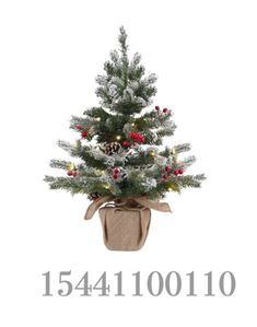 a small christmas tree with red berries and pine cones in a pot on top of a white background