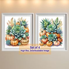 two paintings of pumpkins and succulents with the words set of 4