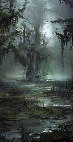 a swampy area with lots of trees and moss growing on the water's edge