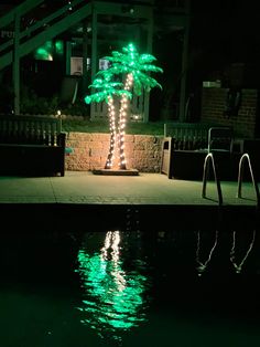 a palm tree is lit up at night by the water's edge with green lights