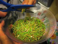 someone is cutting green beans into small pieces in a bowl with blue scissors on the table