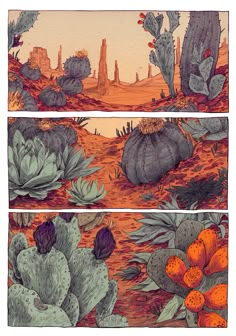 three different views of cactus plants in the desert