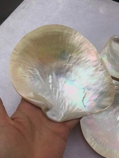 two pieces of mother of pearl being held by a person's hand on a white surface