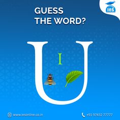 the letter u has a bee on it and is in front of a blue background that says guess the word