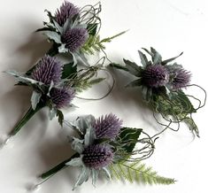 three purple flowers and green leaves on a white surface