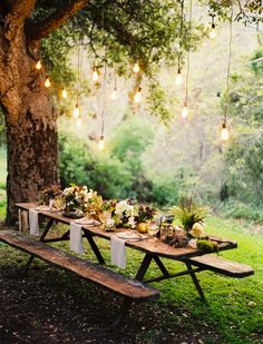 a picnic table set up under a tree with lights hanging from the branches above it