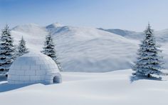 an igloose in the middle of a snowy landscape with trees and mountains