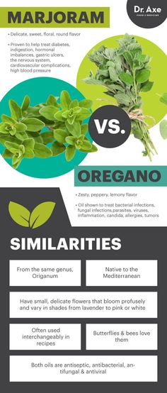 Marjoram vs. oregano - Dr. Axe http://www.draxe.com #health #holistic #natural Benefits Of Herbs, Healthy Herbs, Herbal Healing, Holistic Remedies, Healing Herbs, Improve Digestion, Doterra Essential Oils