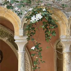 white flowers growing on the side of an old building with arches and arched doorways