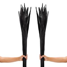 two hands are holding black sticks with long, slender stems on each side and the other end is bent