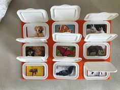 there are many different pictures in the trays on this table top, including dogs and cats