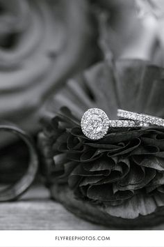 black and white photograph of wedding rings on pine cone