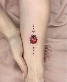 210+ Magnificent Ladybug Tattoos Designs (2023) - TattoosBoyGirl Red Dot Tattoo Design, Tattoo Ideas Female Ladybug, Cool Ladybug Tattoo, Ladybug Tattoos For Women, Ladybug Tattoo Color, Catarina Tattoo, Bug Tattoos For Women, Cute Ladybug Tattoo, Small Ladybug Tattoo