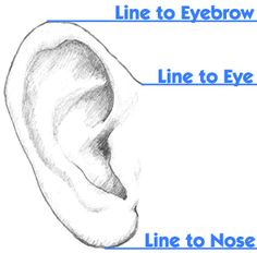 an ear with the words line to eye, line to nose