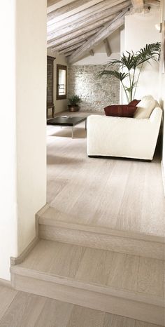 a white couch sitting on top of a hard wood floor next to a plant in a living room