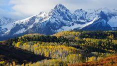 the mountains are covered in snow and colorful trees